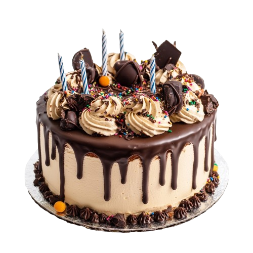1778273395_cake3.png